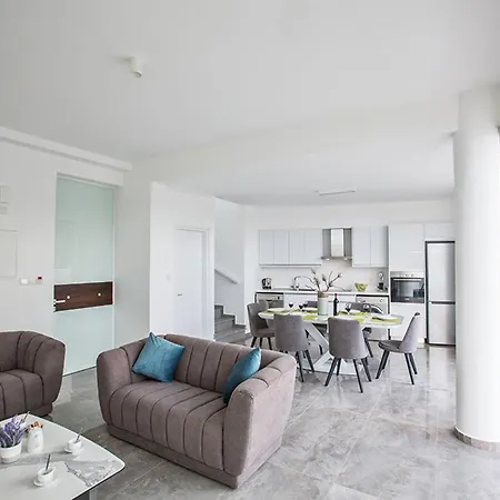Olive Gold, Luxury And Brand New 2bdr With Private Pool 普罗塔拉斯